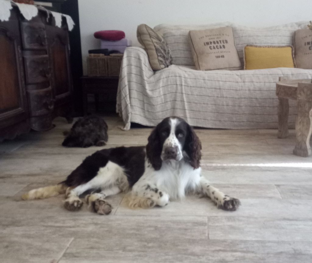 Tostado des combes de la martelle